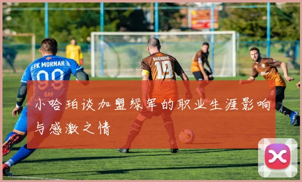 小哈珀谈加盟绿军的职业生涯影响与感激之情